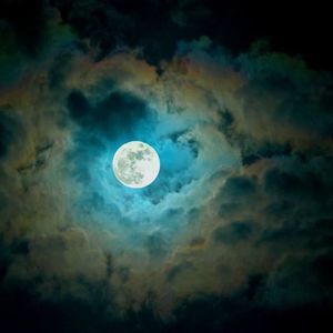 Meet your Posher, Betty